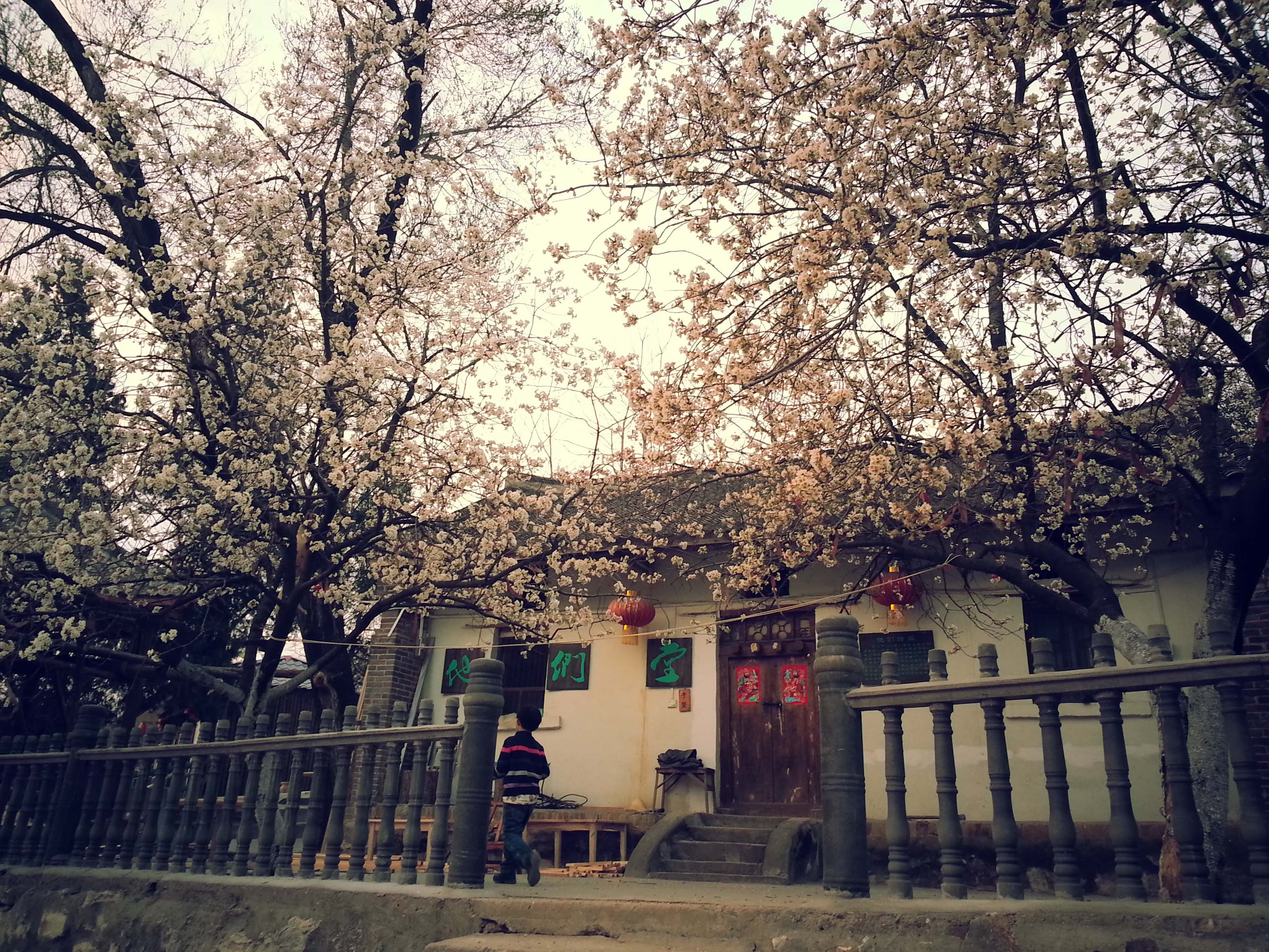 春光满园
